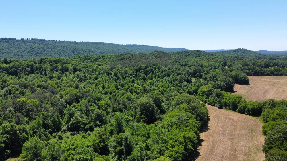 247 Hwy 156 South Pittsburg, TN 37380