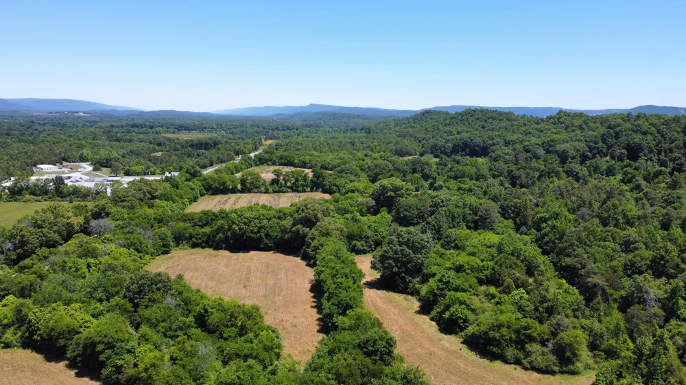 247 Hwy 156 South Pittsburg, TN 37380