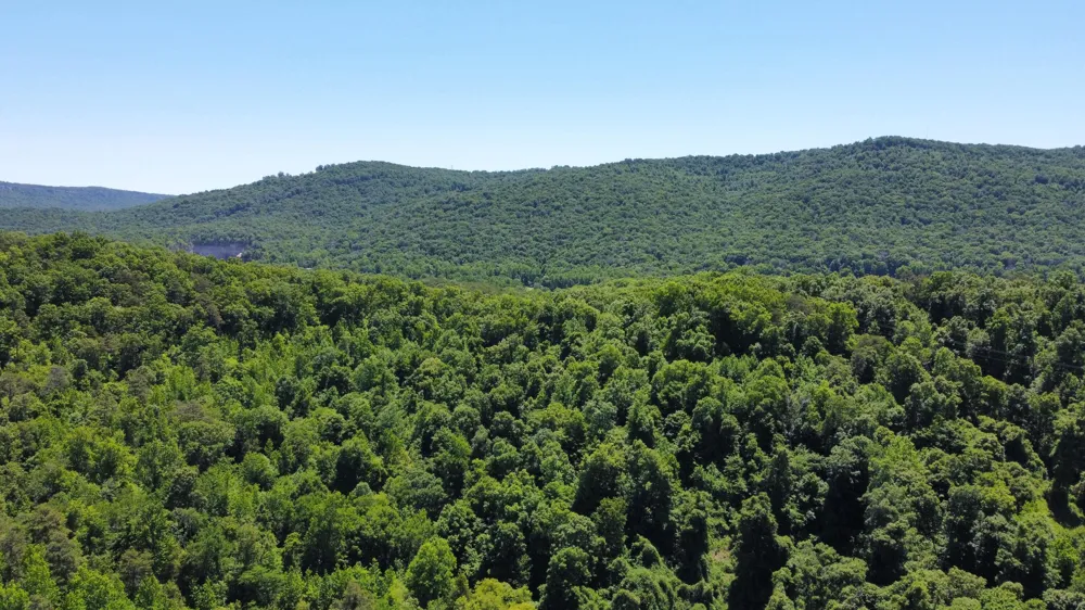 247 Hwy 156 South Pittsburg, TN 37380