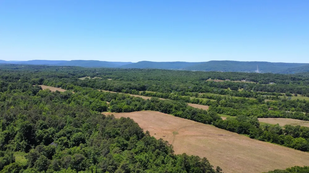 247 Hwy 156 South Pittsburg, TN 37380