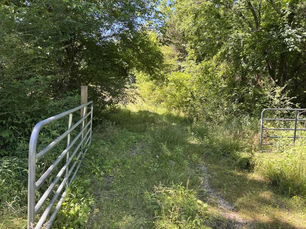 247 Hwy 156 South Pittsburg, TN 37380