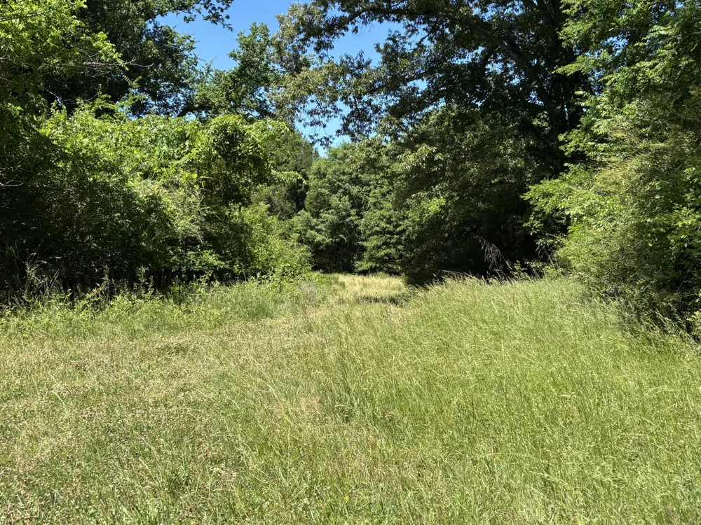 247 Hwy 156 South Pittsburg, TN 37380