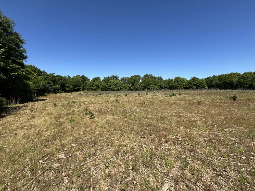 247 Hwy 156 South Pittsburg, TN 37380
