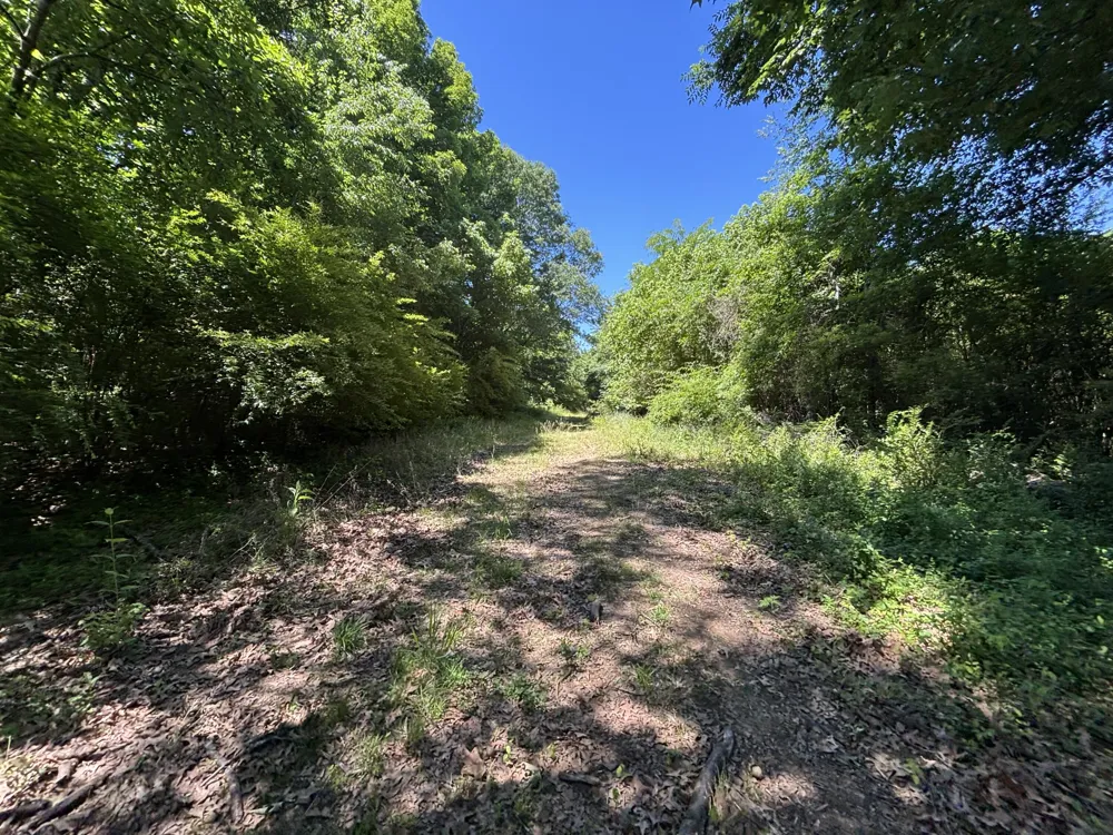 247 Hwy 156 South Pittsburg, TN 37380