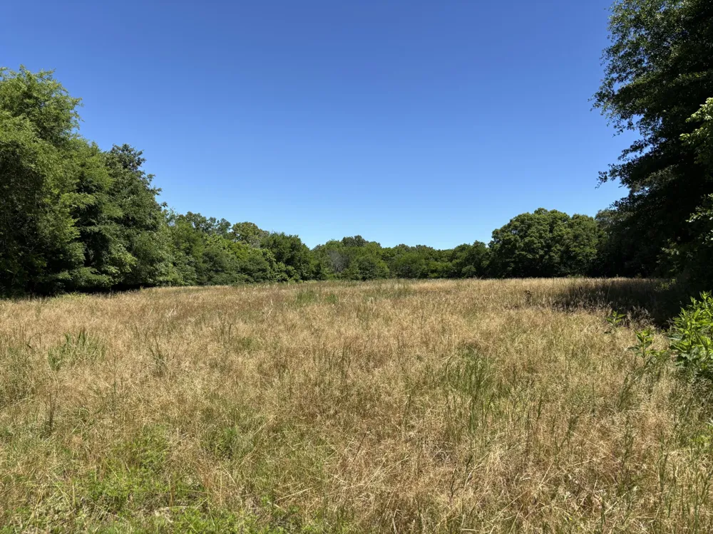 247 Hwy 156 South Pittsburg, TN 37380