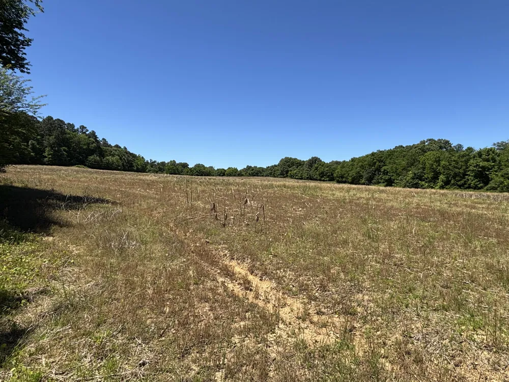 247 Hwy 156 South Pittsburg, TN 37380