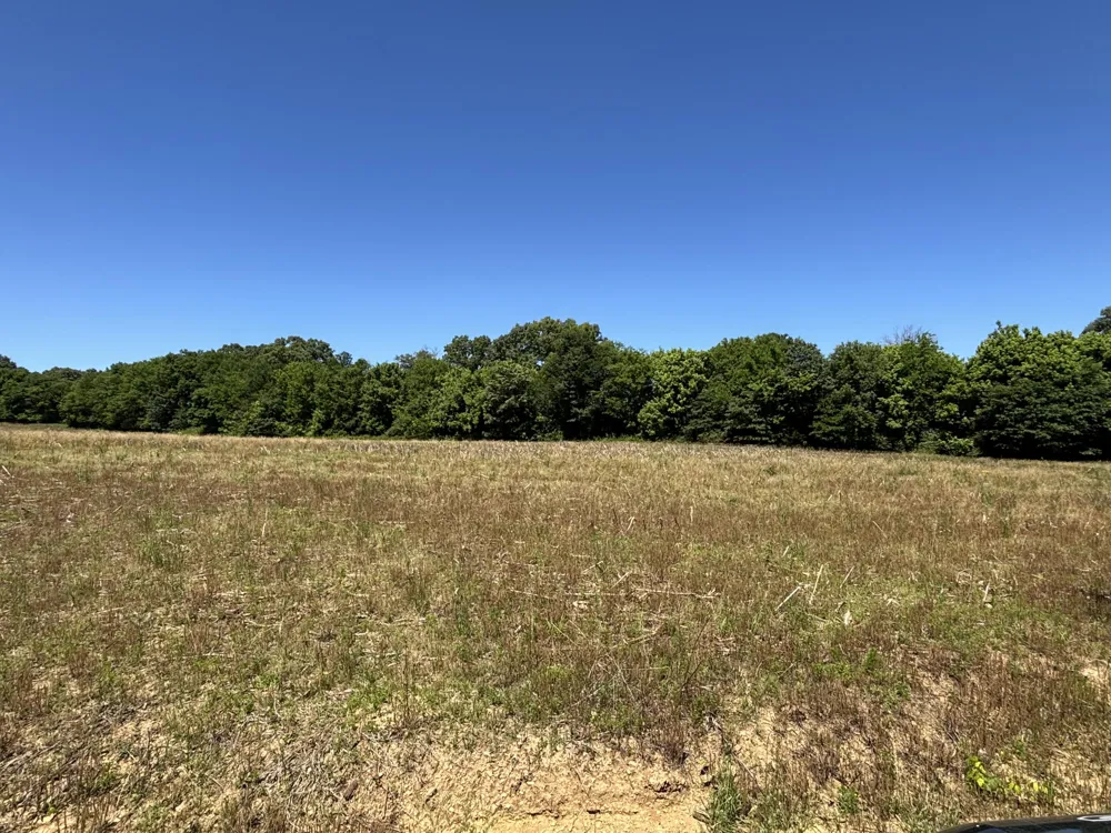 247 Hwy 156 South Pittsburg, TN 37380