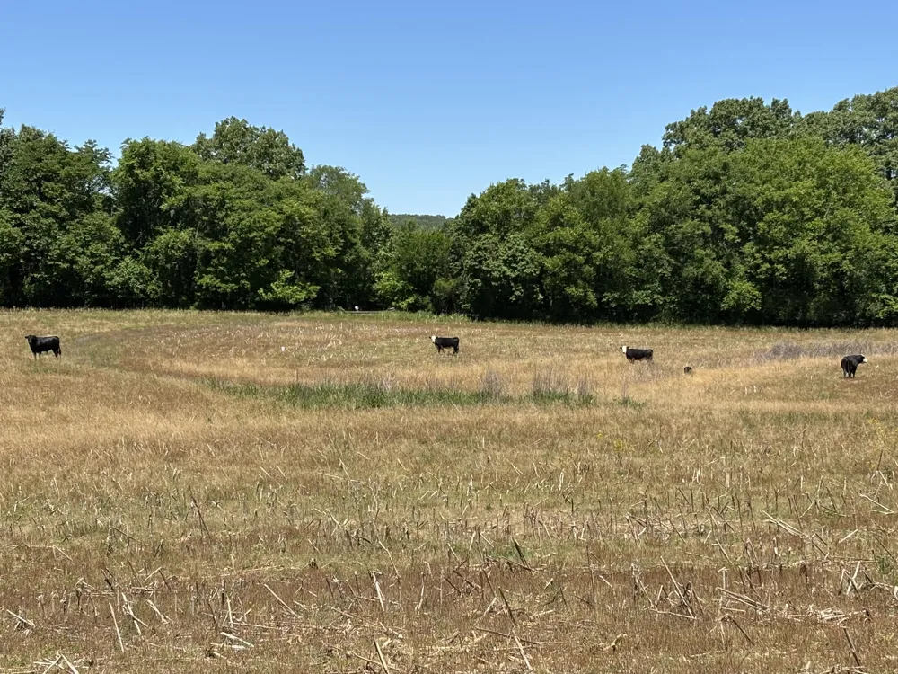 247 Hwy 156 South Pittsburg, TN 37380