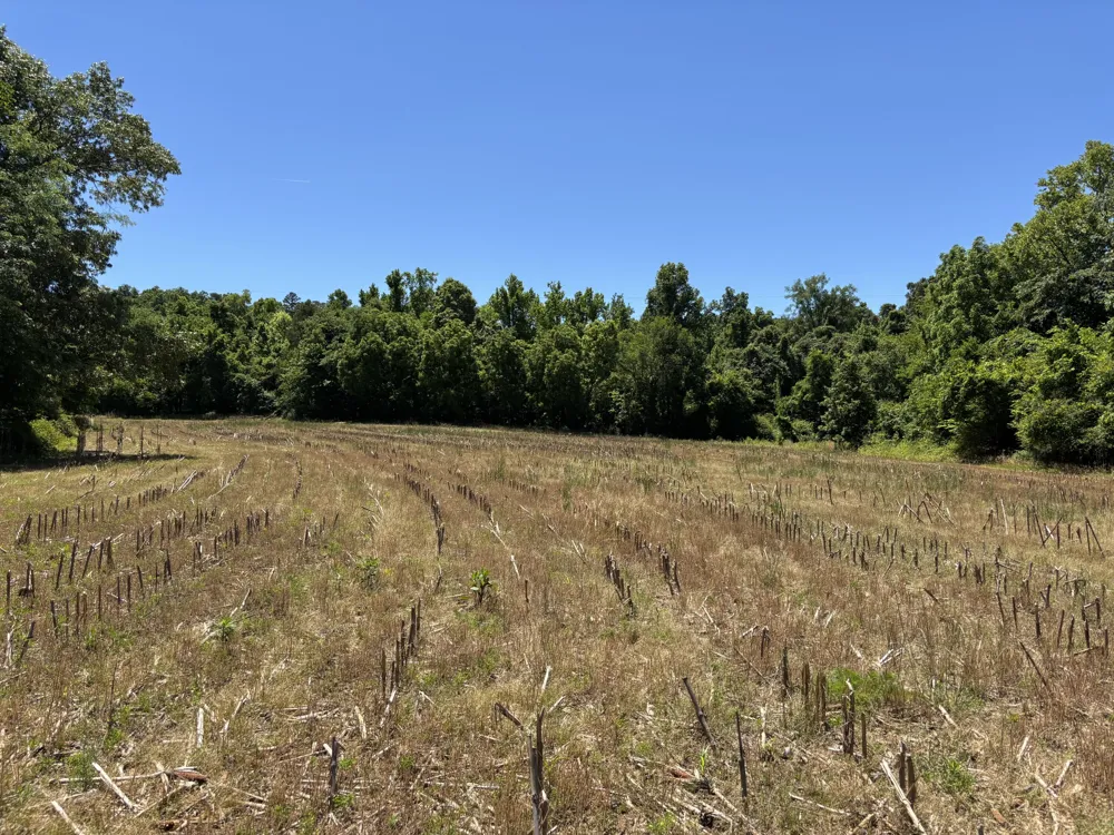 247 Hwy 156 South Pittsburg, TN 37380