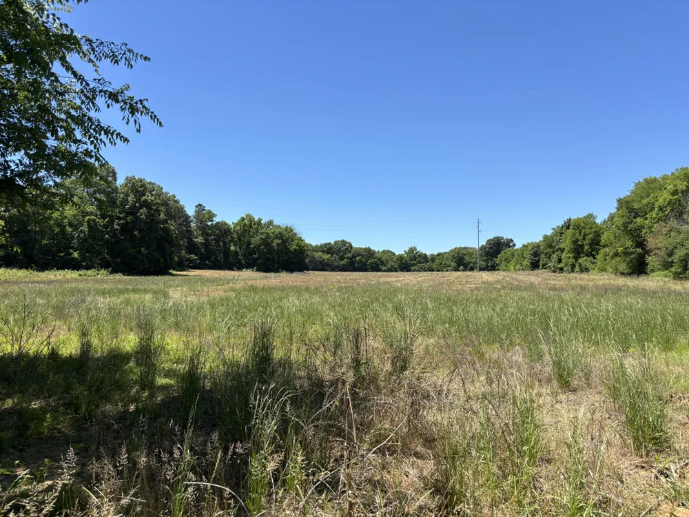 247 Hwy 156 South Pittsburg, TN 37380