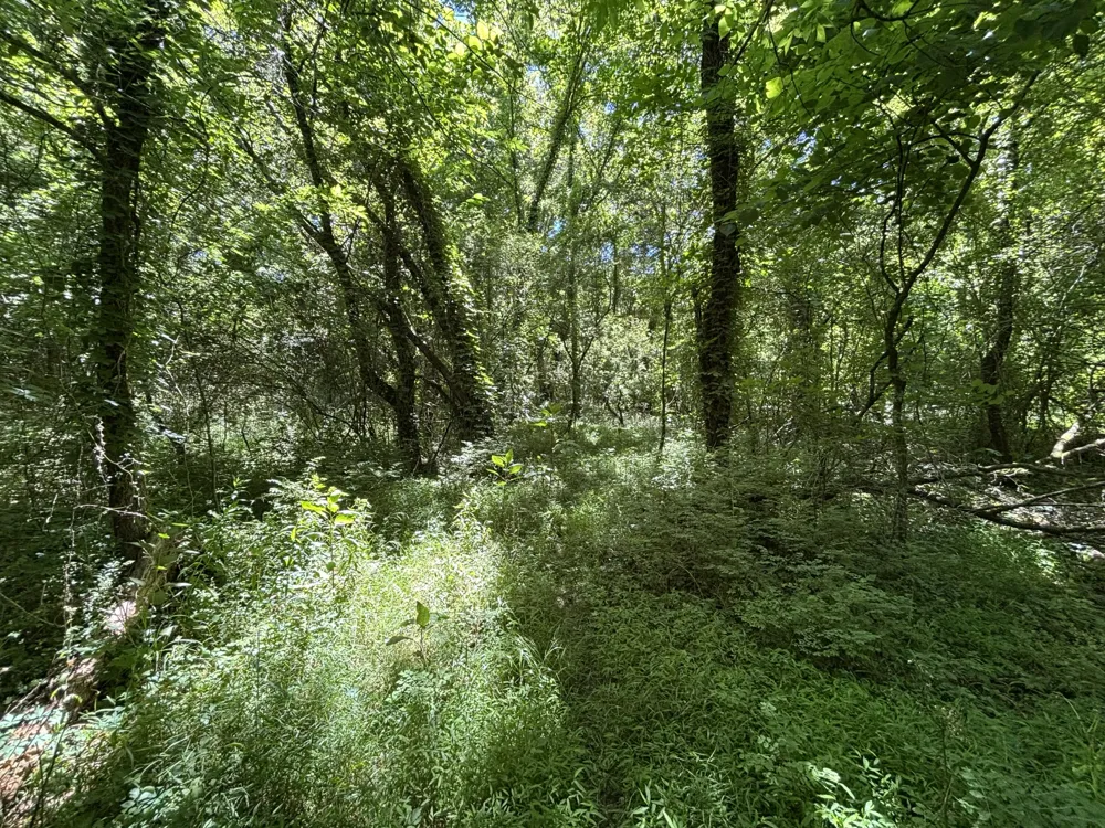 247 Hwy 156 South Pittsburg, TN 37380