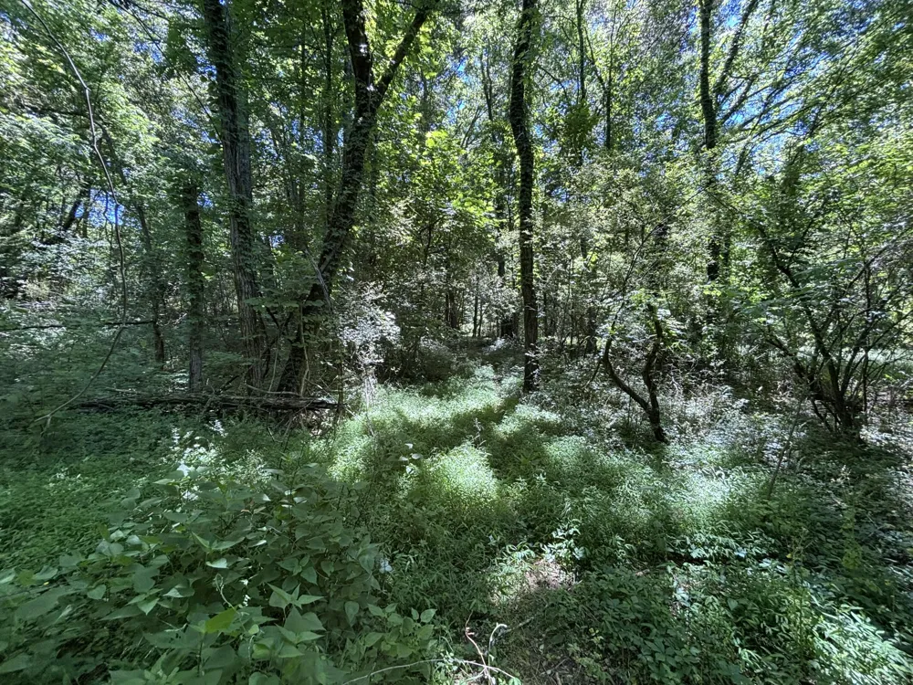 247 Hwy 156 South Pittsburg, TN 37380