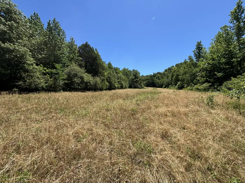 247 Hwy 156 South Pittsburg, TN 37380