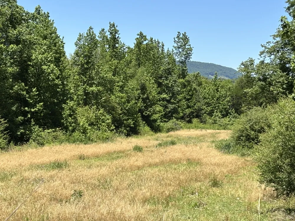 247 Hwy 156 South Pittsburg, TN 37380