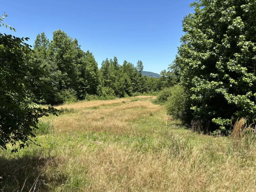 247 Hwy 156 South Pittsburg, TN 37380