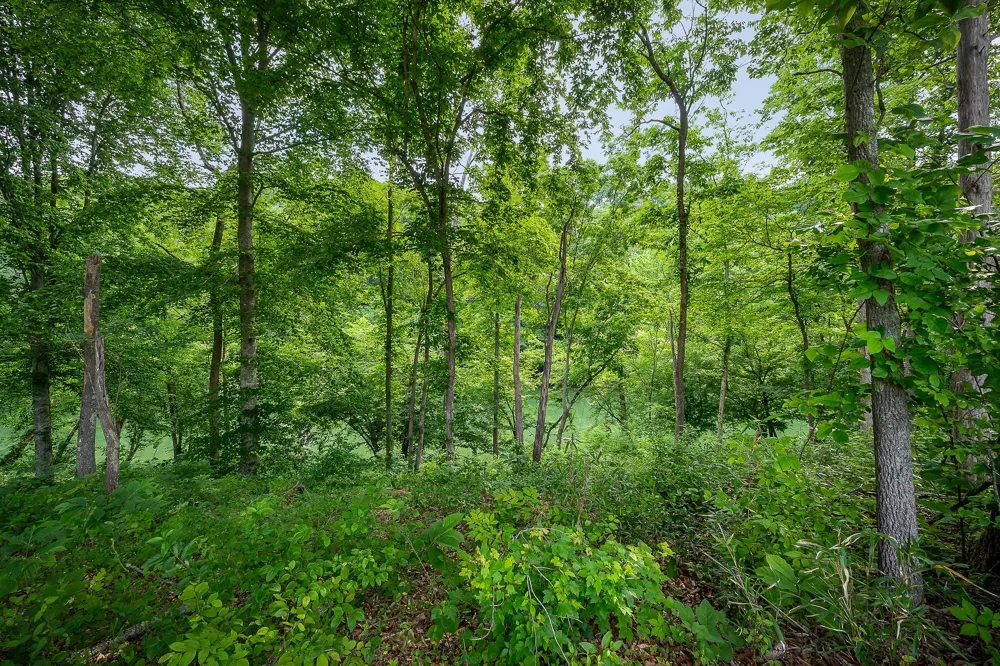 0 Hidden River Rd Rock Island, TN 38581