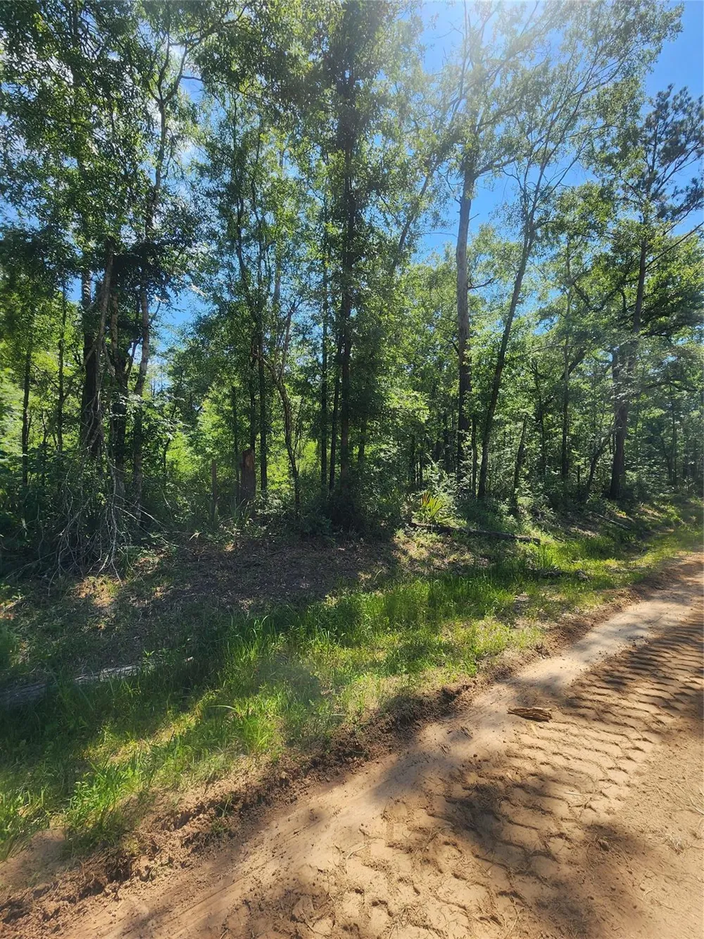 2 Cindy Lane Shepherd, TX 77371