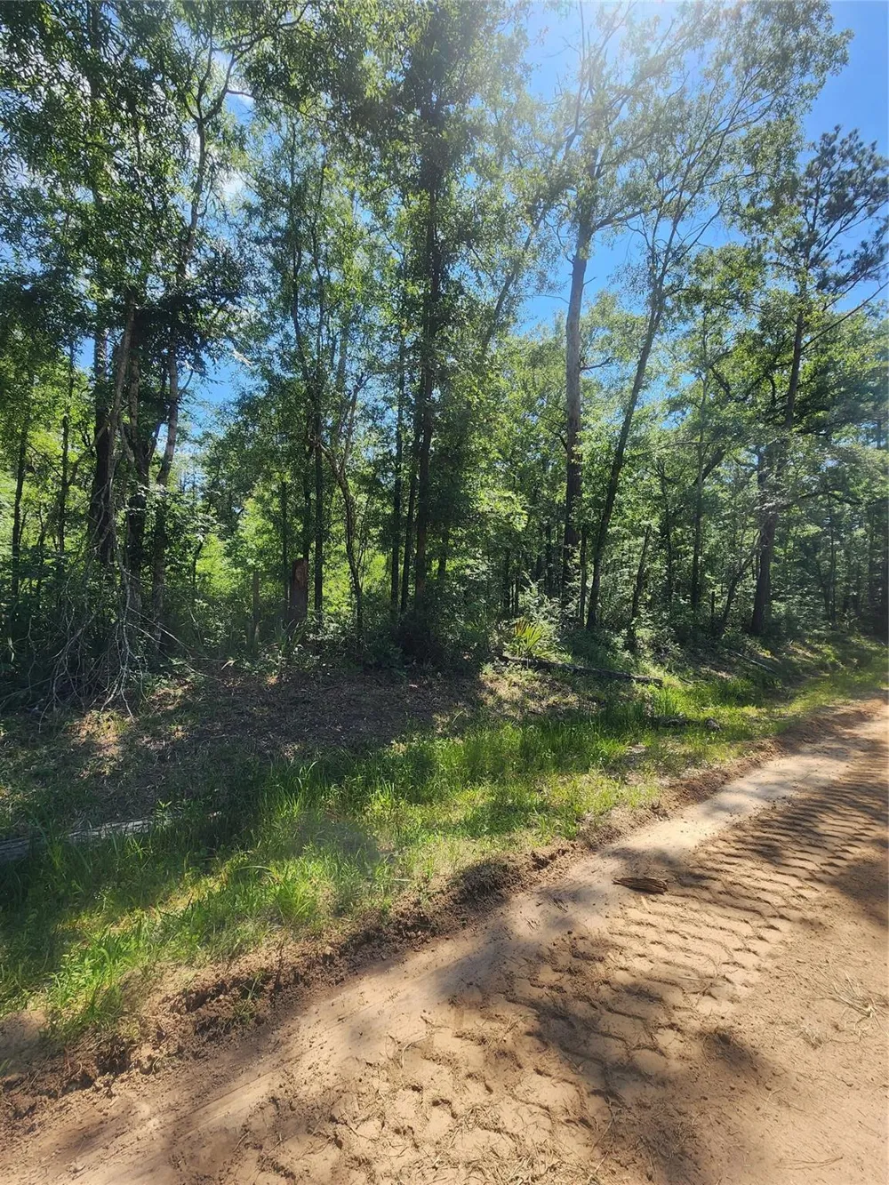 2 Cindy Lane Shepherd, TX 77371