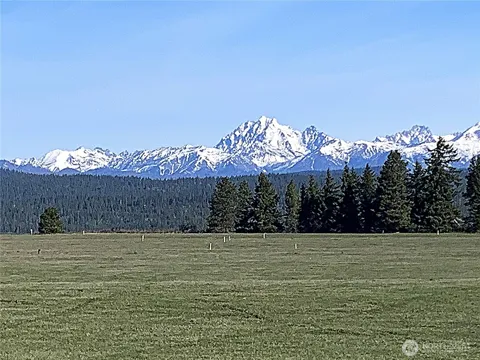 9 Summit View at Wallace Ranch