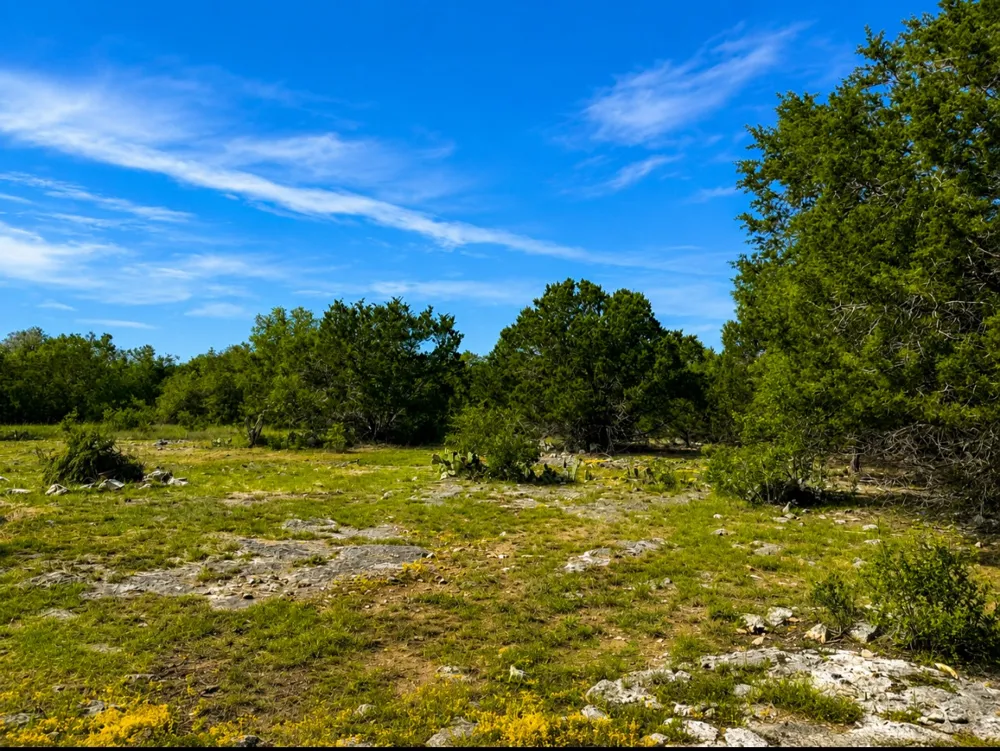 300 Live Oak Hills Court San Marcos, TX 78666