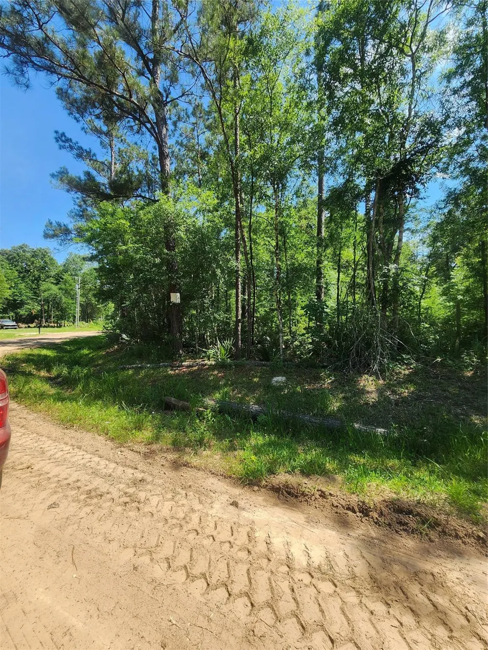 3 Cindy Lane Shepherd, TX 77371