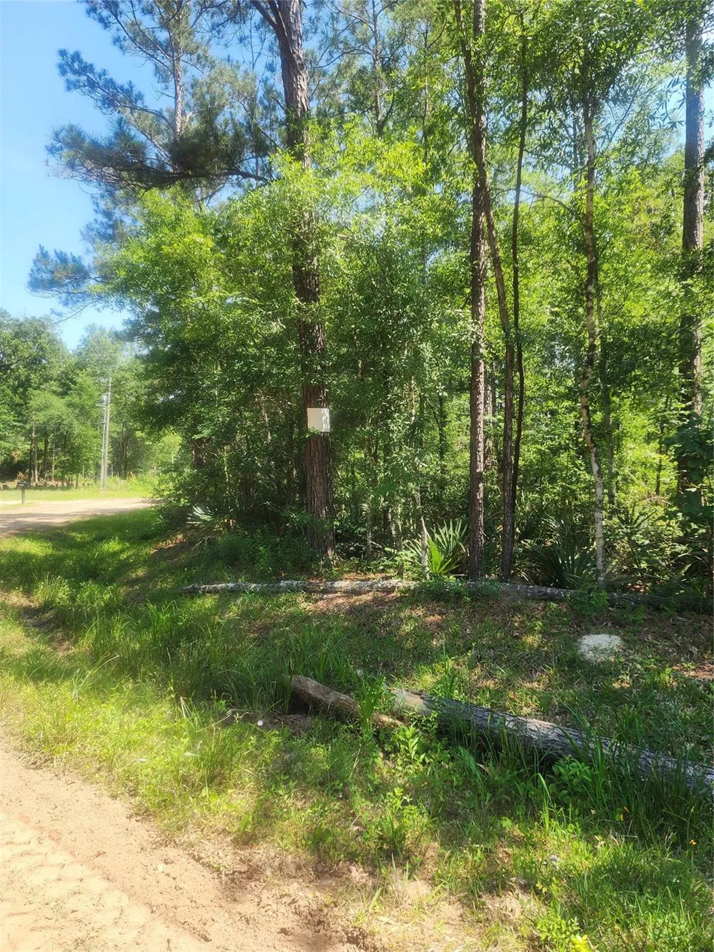 1 Cindy Lane Shepherd, TX 77371