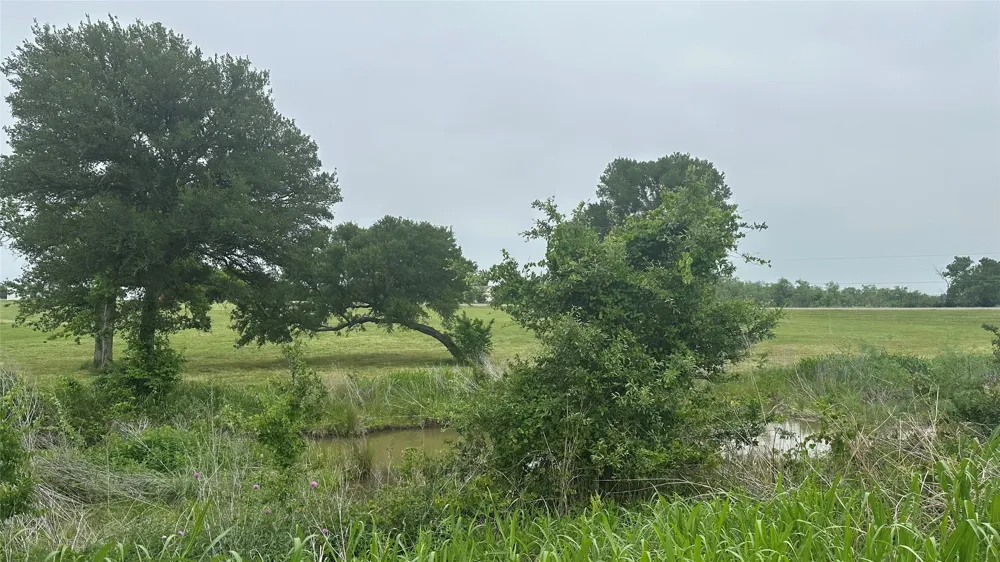 2642 Hwy 84 W Mexia, TX 76667