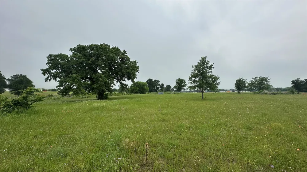 2642 Hwy 84 W Mexia, TX 76667