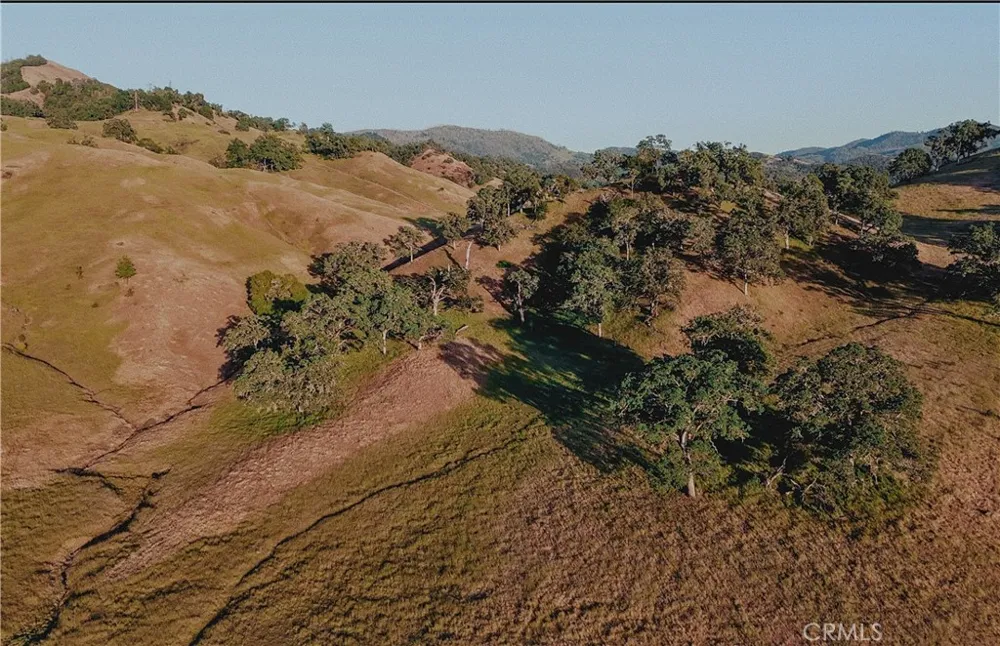 12020 Burris Lane Potter Valley, CA 95469