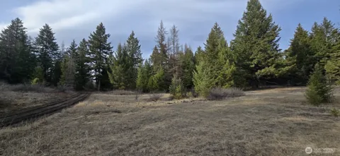 99 Prior Loop Road