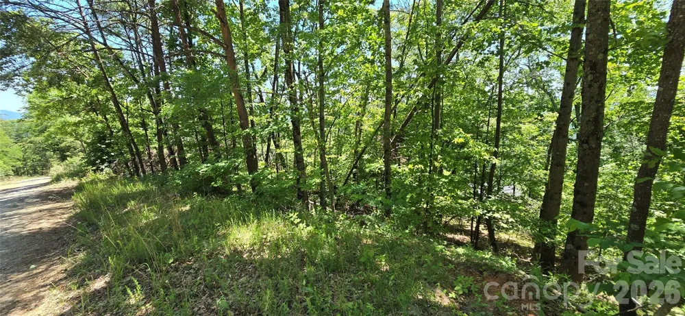 Lot 7 Pinnacle Parkway Union Mills, NC 28167