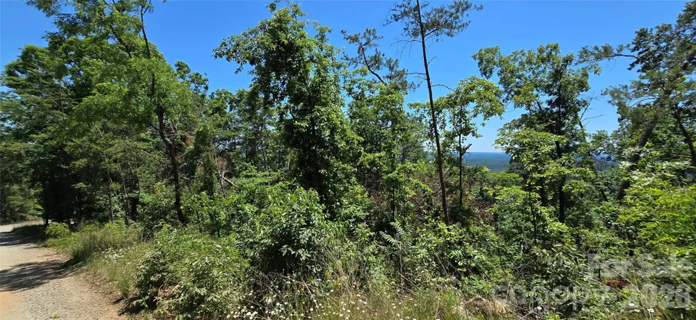 Lot 7 Pinnacle Parkway Union Mills, NC 28167