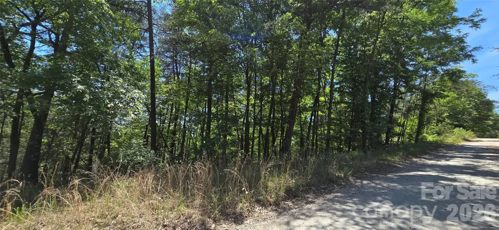 Lot 7 Pinnacle Parkway Union Mills, NC 28167