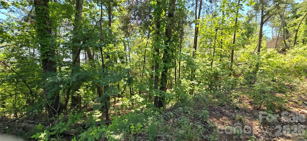 Lot 7 Pinnacle Parkway Union Mills, NC 28167