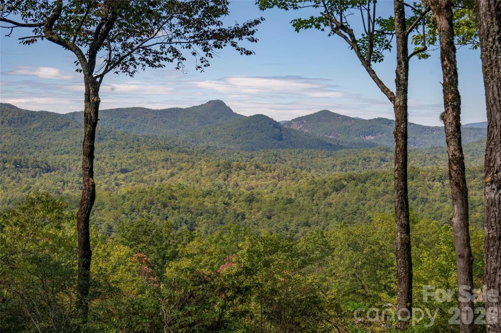 519 Eagle Drive Sapphire, NC 28774