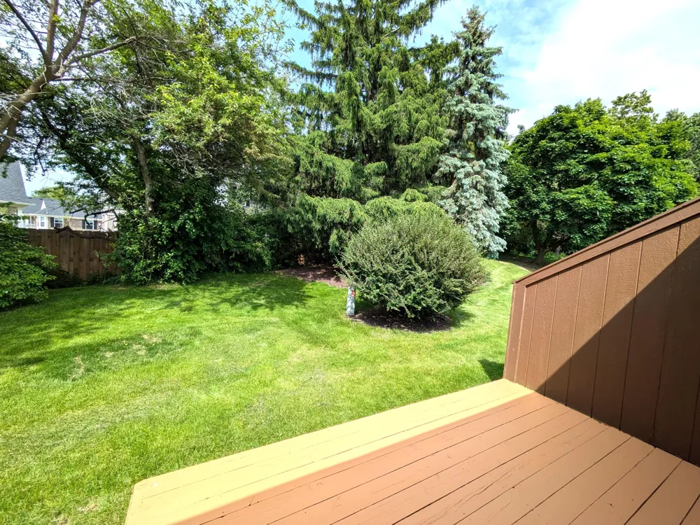 599 Echo Court Saline City, MI 48176