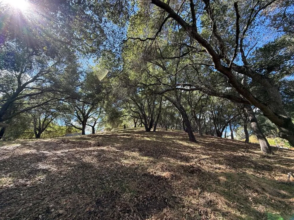 1920 Mantelli Drive Gilroy, CA 95020