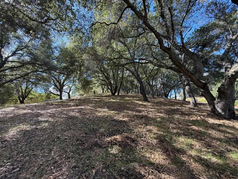 1920 Mantelli Drive Gilroy, CA 95020