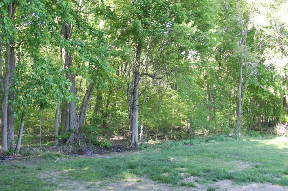 12768 Valley Drive Yankee Springs Township, MI 49348