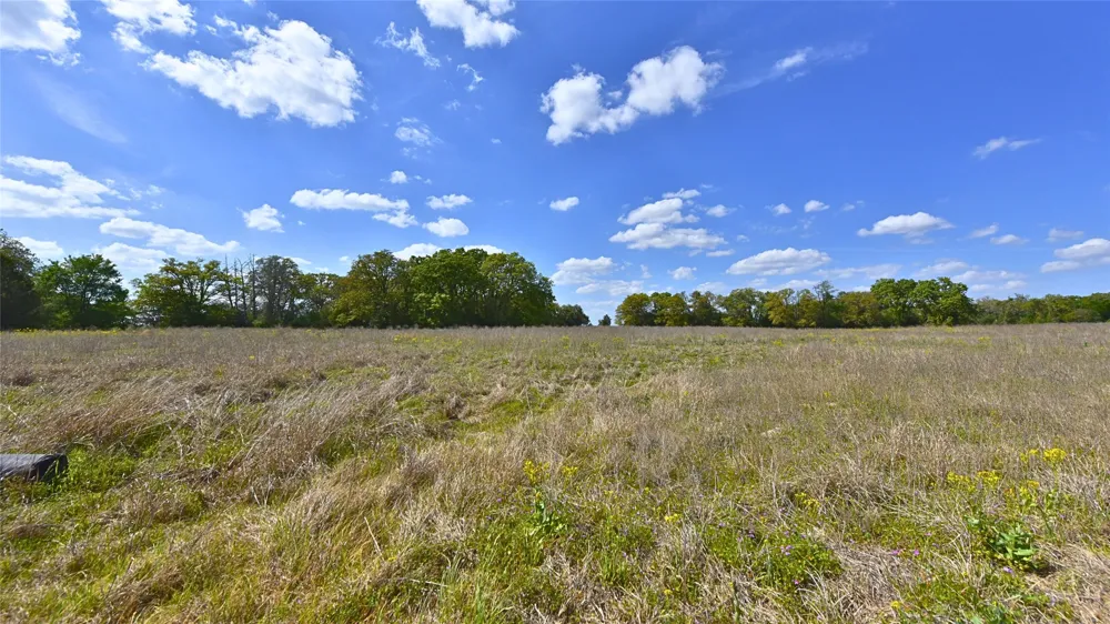 Legacy Road (5 acres) Caldwell, TX 77836