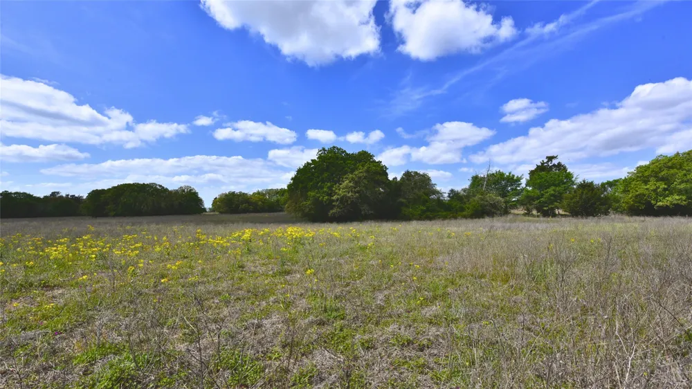 Legacy Road (5 acres) Caldwell, TX 77836