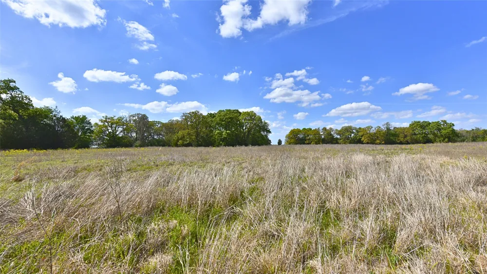 Legacy Road (5 acres) Caldwell, TX 77836