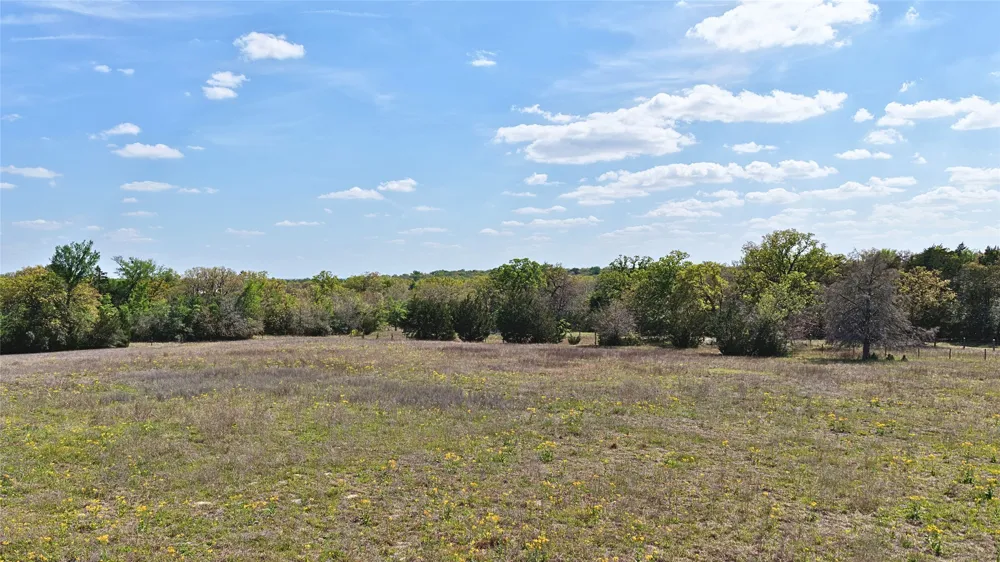 Legacy Road (5 acres) Caldwell, TX 77836