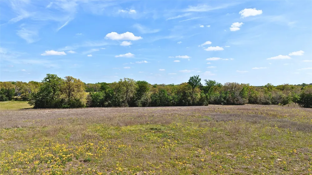Legacy Road (5 acres) Caldwell, TX 77836