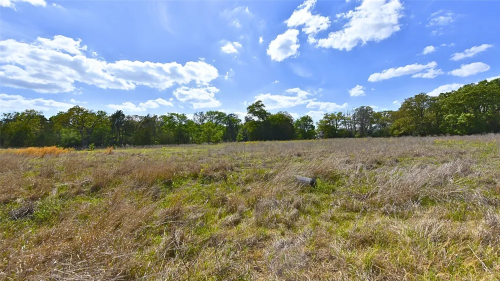 Legacy Road (5 acres) Caldwell, TX 77836