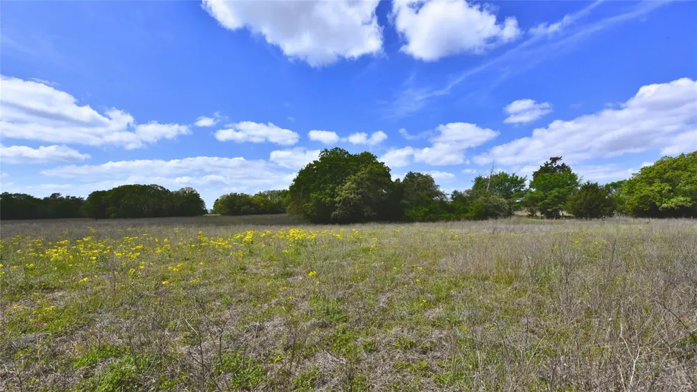 Legacy Road - 5 Acres Caldwell, TX 77836
