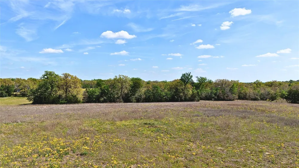 Legacy Road - 5 Acres Caldwell, TX 77836