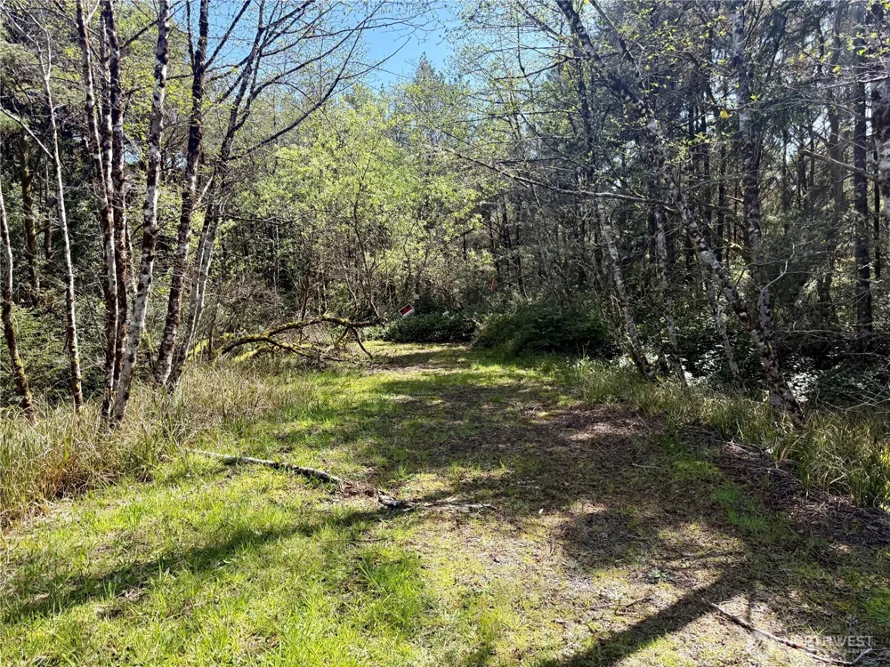 1007 Sand Castle Lane Westport, WA 98595