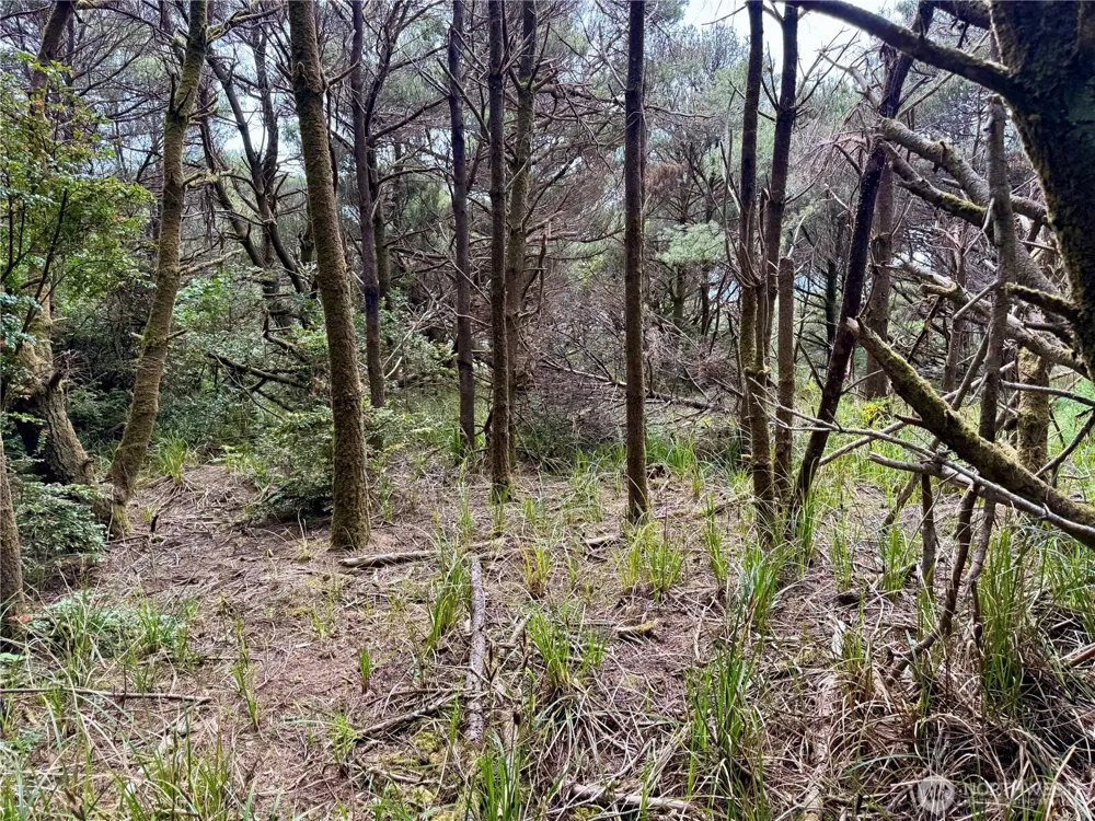 1007 Sand Castle Lane Westport, WA 98595