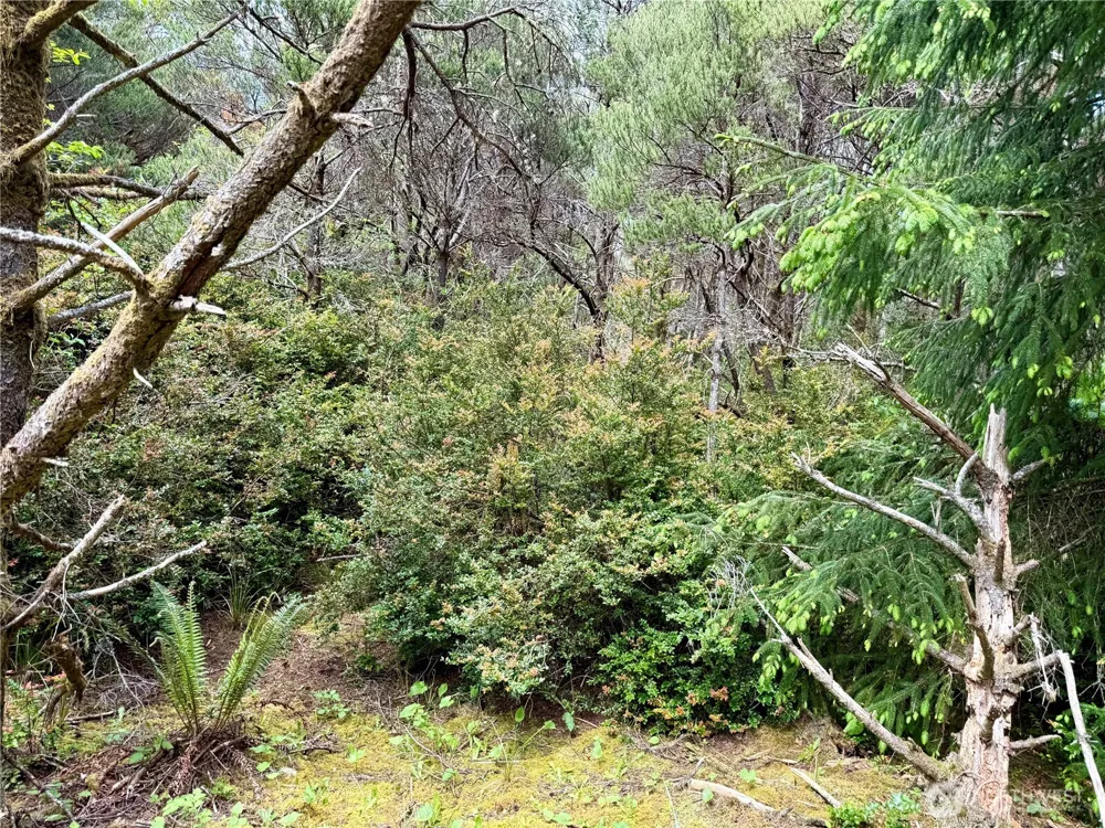 1007 Sand Castle Lane Westport, WA 98595